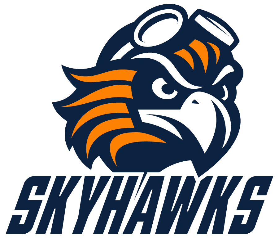 Tennessee-Martin Skyhawks 2020-Pres Alternate Logo v4 DIY iron on transfer (heat transfer)